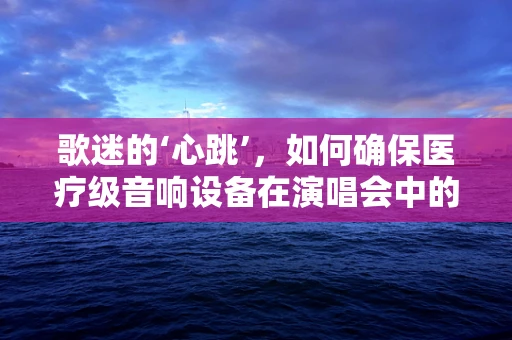 歌迷的‘心跳’，如何确保医疗级音响设备在演唱会中的安全运行？