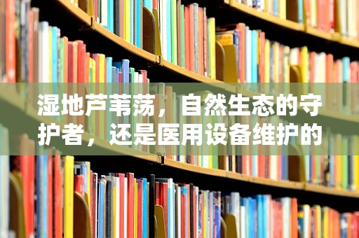 湿地芦苇荡，自然生态的守护者，还是医用设备维护的隐形挑战？