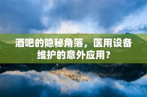 酒吧的隐秘角落，医用设备维护的意外应用？