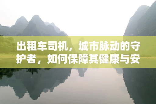 出租车司机，城市脉动的守护者，如何保障其健康与安全？