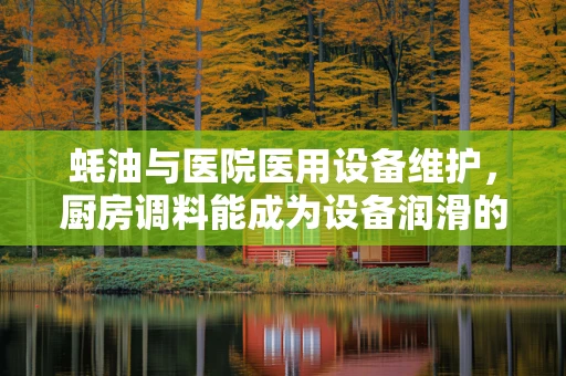 蚝油与医院医用设备维护，厨房调料能成为设备润滑的秘密武器吗？