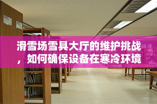 滑雪场雪具大厅的维护挑战，如何确保设备在寒冷环境下的高效运行？