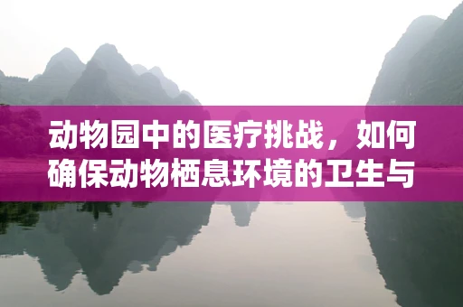 动物园中的医疗挑战，如何确保动物栖息环境的卫生与安全？