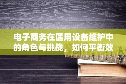 电子商务在医用设备维护中的角色与挑战，如何平衡效率与安全？