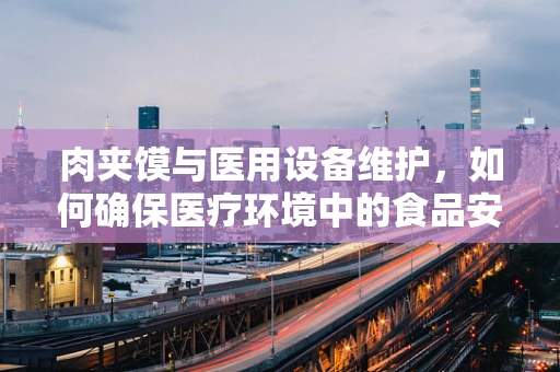 肉夹馍与医用设备维护，如何确保医疗环境中的食品安全与设备安全？